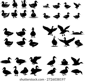 Surtido de siluetas de pato, mostrando tanto patos voladores como nadadores, junto con poses de pie y caminando. Estas Imágenes vectoriales negras proporcionan una amplia gama de aves acuáticas para aplicaciones de diseño, perfectas para proyectos de temática natural, logotipos y contenido educativo.