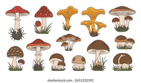 Uma variedade de variedades comestíveis e de fungos que crescem no ecossistema do solo da floresta selvagem