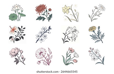 Sortimento de elegantes elementos florais desenhados à mão representando doze variedades de flores distintas para uso de design