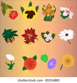 Assortment of exotic flowers