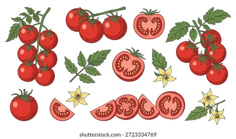 Sortimento de tomates vermelhos frescos, incluindo clusters em videiras, fatias, folhas e flores em um estilo colorido.