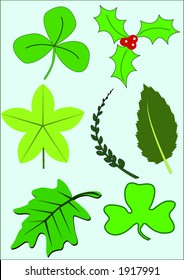 An assortment of leaves in vector format.