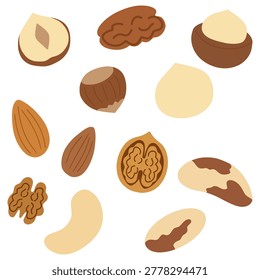 Assortment of nutritious nuts including walnuts, almonds, cashews, pecans, macadamias, hazelnuts, and brazil nuts