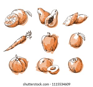 Assortment Of Orange Foods, Fruit And Vegtables, Vector Sketch