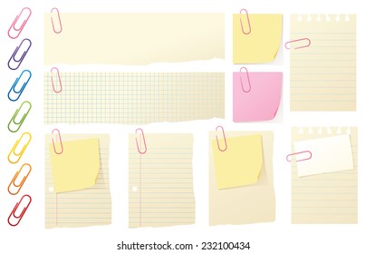 Assortment of paper and paper clips.