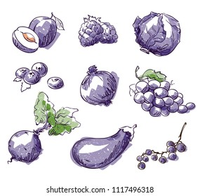 Assortment Of Purple Foods, Fruit And Vegtables, Vector Sketch