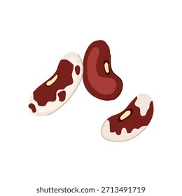 Assortment of stylized red kidney bean alongside speckled pinto beans, representing healthy protein sources and common ingredients for cooking various meals