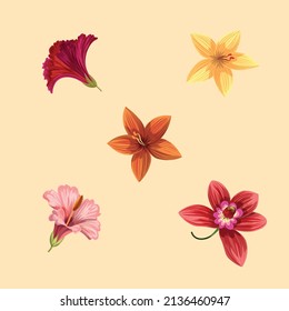 vectores de flores tropicales variadas