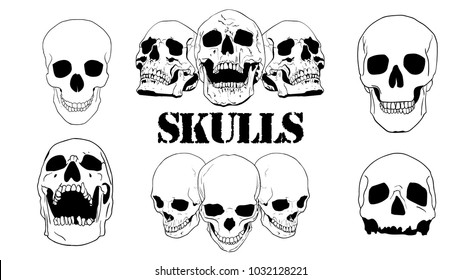 Assortment of vector skulls