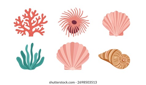 Uma variedade de elementos marinhos vibrantes, com coral, anêmona, algas marinhas e várias conchas marinhas em uma configuração limpa e isolada.