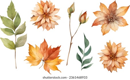 Assortment of watercolor fall leaves and flowers