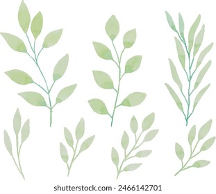 Assortment of watercolor leaves illustration set - green leaf branches collection for wedding, greetings, stationary, wallpapers, fashion, background. olive, green leaves, Eucalyptus etc