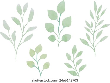 Assortment of watercolor leaves illustration set - green leaf branches collection for wedding, greetings, stationary, wallpapers, fashion, background. olive, green leaves, Eucalyptus etc