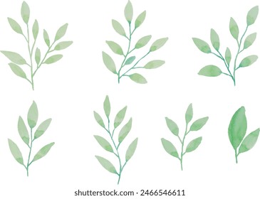 Assortment of watercolor leaves illustration set - green leaf branches collection for wedding, greetings, stationary, wallpapers, fashion, background. olive, green leaves, Eucalyptus etc