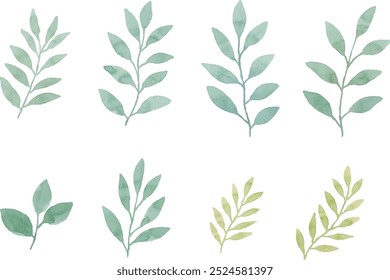 Assortment of watercolor leaves illustration set - green leaf branches collection for wedding, greetings, stationary, wallpapers, fashion, background. olive, green leaves, Eucalyptus etc