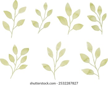 Surtido de hojas de acuarela conjunto de ilustración - hojas verdes ramas de colección para la boda, saludos, estacionario, Fondos de pantalla, moda, fondo. oliva, hojas verdes, eucalipto, etc