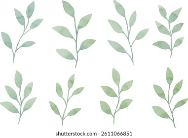 Assortment of watercolor leaves illustration set - green leaf branches collection for wedding, greetings, stationary, wallpapers, fashion, background. olive, green leaves, Eucalyptus etc