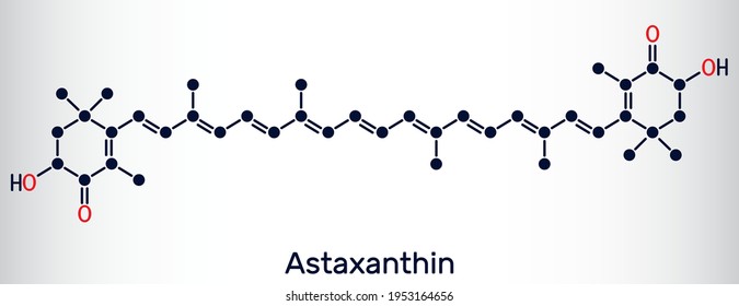 La astaxantina es un keto-carotenoide. Pertenece a la clase de terpenos químicos. Fórmula química esquelética. Ilustración del vector