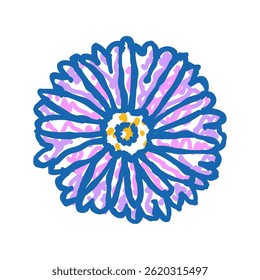 Asterblüte Frühling Doodle Symbol Skizze Vektor. Asterblüten-Frühlingszeichen. einzelne Symbolgrafik