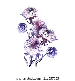 Aster Bouquet