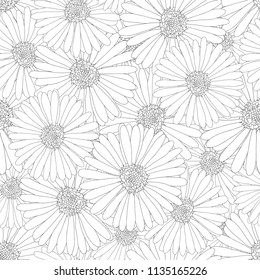 Aster, Daisy Flower Outline Seamless Background. Vector Illustration.