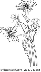 aster flower drawing tattoo, drawing  September flower tattoos, aster September birth flower tattoo, small simple coosmos flowers tattoo, minimalist simple asters flower tattoos