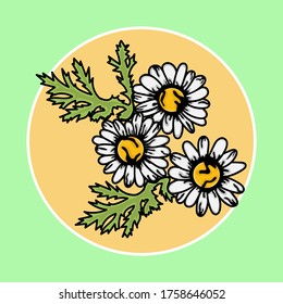Aster Flower Illustration Design Vector