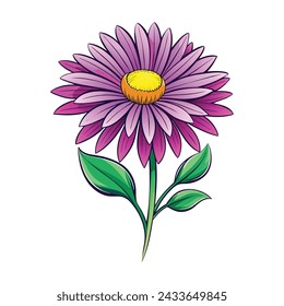 Ilustración de la flor de Aster sobre fondo blanco
