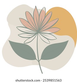 Aster flower with leaf, flower color blobs, line art,vector illustration