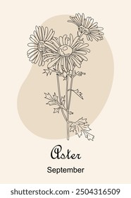 Aster flower line art vector botanical illustration. September birth month flower hand drawn black ink sketch. Modern design for logo, tattoo, wall art, packaging isolated on beige background.