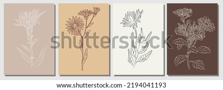 Aster flower Line Drawing Print Set. Botanical Poster. Modern Single Line Art, Aesthetic Contour. Perfect for Home Decor, Wall Art, t-shirt Print, tattoo, logo, jewelry design. Vector illustrations.