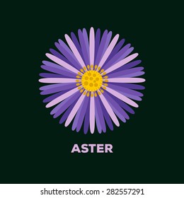 Aster Flower Logo Vector