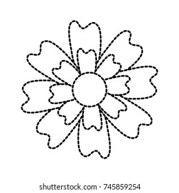 aster flower natural petal decoration image