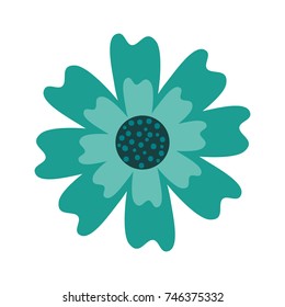 aster flower natural petal decoration image