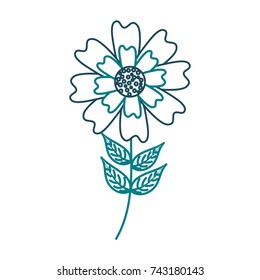 aster flower natural petal leaves stem