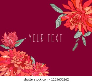 aster flower with red background. vector illustration.print on clothes, template, banner, wedding invitation, decoration ornament
