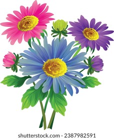 aster flower vector illustration clip art