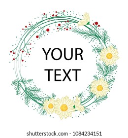 aster flower white background template