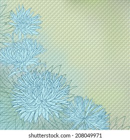 Aster flowers. Blue background.