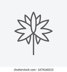 Símbolo de línea de icono de Aster. Ilustración vectorial aislada del concepto de signo de icono para el diseño de la interfaz de usuario del logotipo de la aplicación móvil del sitio web.