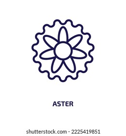 aster icon from nature collection. Thin linear aster, spring, floral outline icon isolated on white background. Line vector aster sign, symbol for web and mobile