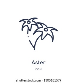 aster icon from nature outline collection. Thin line aster icon isolated on white background.