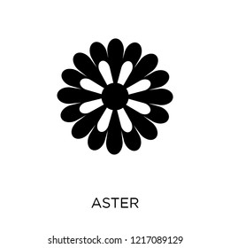 Aster icon. Aster symbol design from Nature collection. Simple element vector illustration on white background.