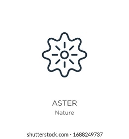 Icono de Aster. Icono de contorno lineal delgado aislado en fondo blanco de la colección de naturaleza. Signo vectorial de línea, símbolo para web y móvil
