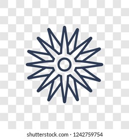 Aster icon. Trendy linear Aster logo concept on transparent background from Nature collection