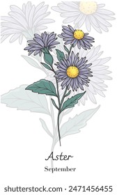 Aster Line Art. Ilustración vectorial de flores de Aster. Mes de nacimiento de septiembre Flor. Contorno de estrella aislado en blanco. Ilustración botánica de arte de línea dibujada a mano.