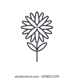 Aster Line Icon Concept. Aster Flat Vector Sign, Symbol, Illustration.