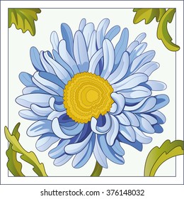 aster. vector illustration asters