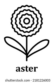 Aster vector linear icon. Aster flower petal line and branch with leaves. Simple minimal illustration linear style for mobile concept and web design. Pixel perfect vector graphics.