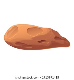 Asteroid boulder icon. Cartoon of asteroid boulder vector icon for web design isolated on white background